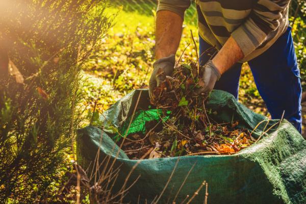 Pulizia del giardino: come gestire le piante infestanti