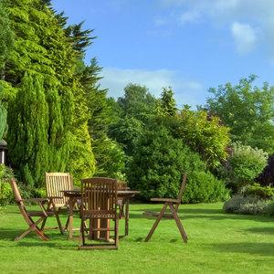 Come potare gli alberi del giardino