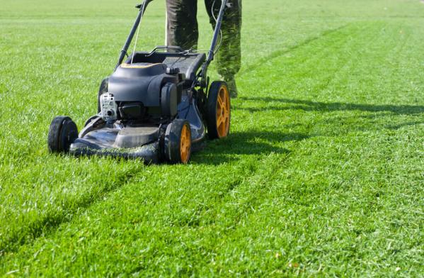 Consigli su come tagliare il prato in Primavera 