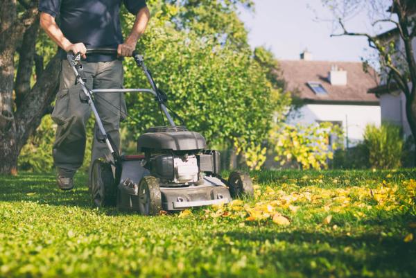 I Benefici del Mulching nel Prato