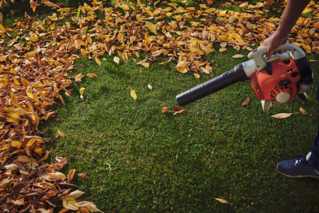 Soffiatore per foglie: come scegliere tra elettrico, a scoppio o a batteria  - Blog di Syrio Srl
